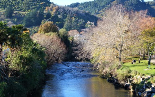 Stroll Along the Maitai River